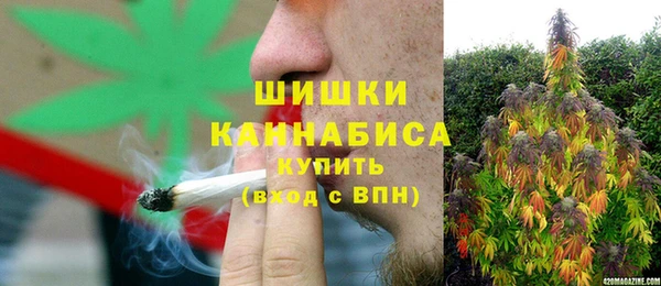 прущие грибы Бежецк